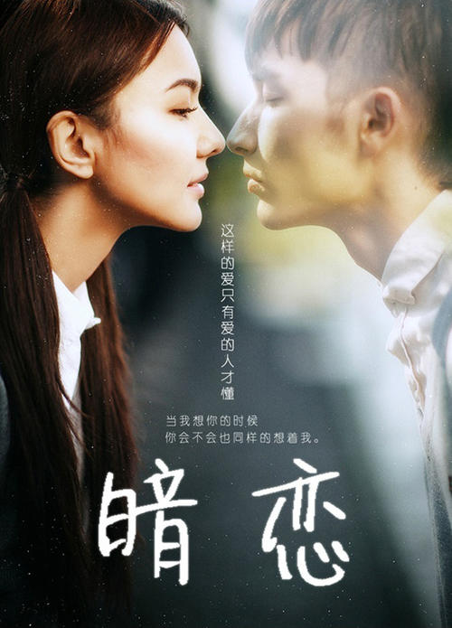 做假香港驾照